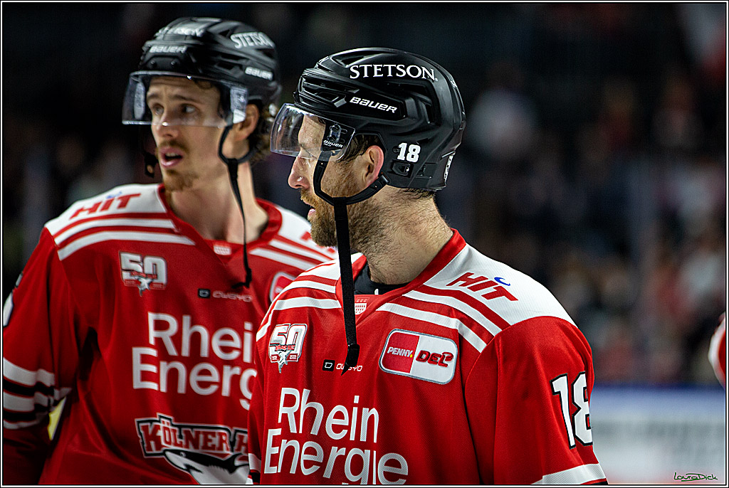 PENNY DEL; Koelner Haie- Loewen Frankfurt; Koeln, 01.12.2022